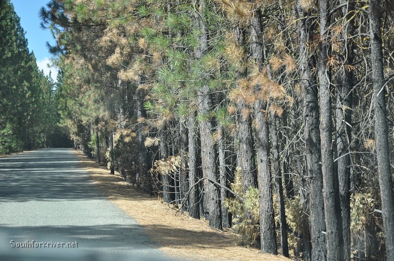 DSC_0060.JPG - Evergreen Road climbing out of Carlon Falls