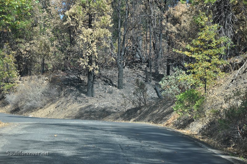 DSC_0065.JPG - Evergreen Road climbing out of Carlon Falls