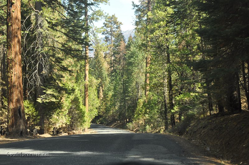 DSC_0071.JPG - Evergreen Road near Aspen Valley Road