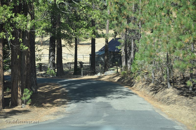 DSC_0115.JPG - Evergreen Road near Ackerson Meadow - Heading towards Mather