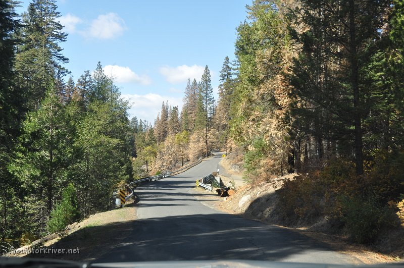 DSC_0118.JPG - Evergreen Road near Middle Fork of Tuolumne River - Heading towards Mather