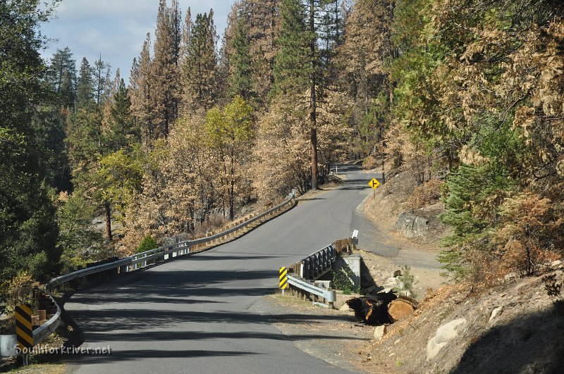 DSC_0119.JPG - Evergreen Road near Middle Fork of Tuolumne River - Heading towards Mather