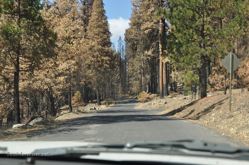 DSC_0123.JPG - Evergreen Road near Middle Fork of Tuolumne River - Heading towards Mather