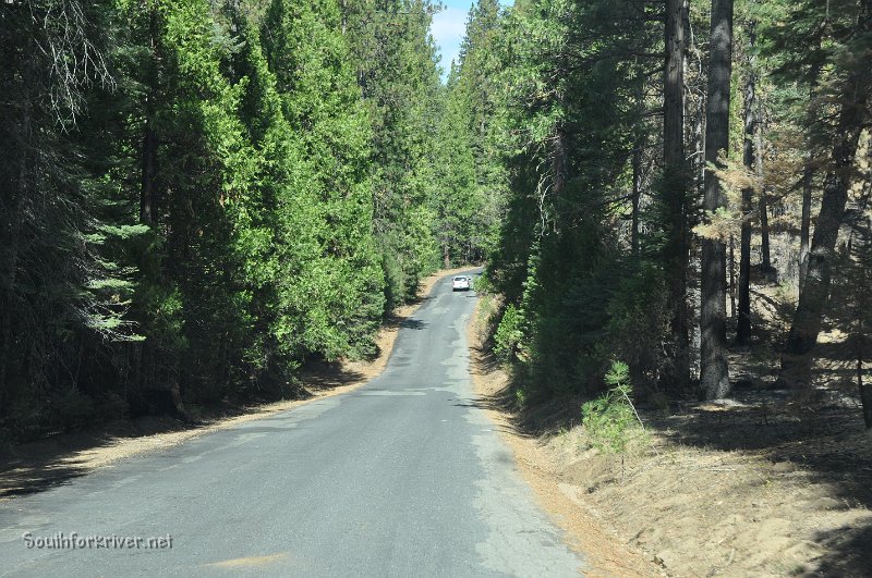 DSC_0136.JPG - Evergreen Road near Diamond O Campground - Heading towards Mather