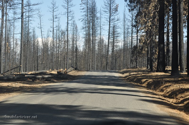 DSC_0150.JPG - Evergreen Road near between Peach Grower's Tract and Evergreen - Heading towards Mather