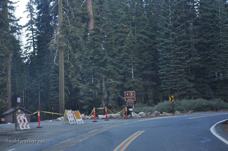 DSC_0163.JPG - Highway 120 inside Yosemite at Tuolumne Grove