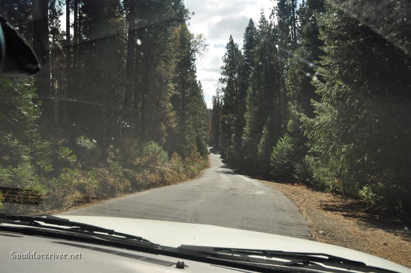 DSC_0268.JPG - Evergreen Road near Diamond O Campground