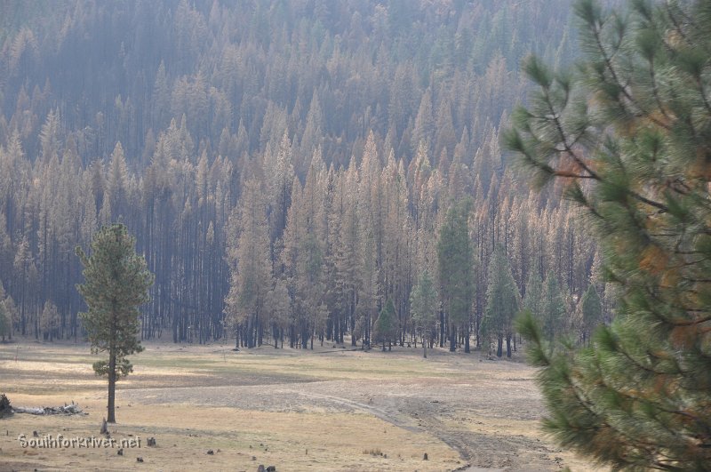 DSC_0301.JPG - Ackerson Meadow