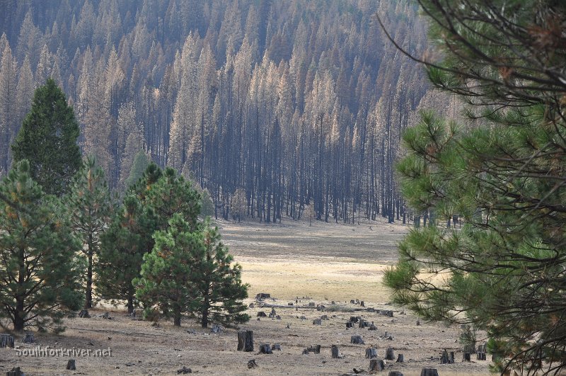 DSC_0306.JPG - Ackerson Meadow