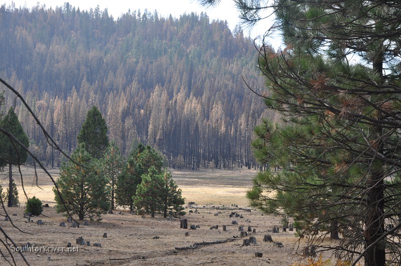 DSC_0307.JPG - Ackerson Meadow