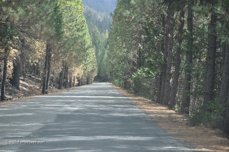 DSC_0371.JPG - Evergreen Road near Aspen Valley Road