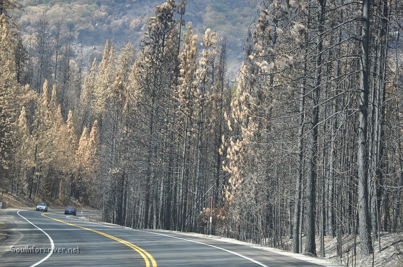 DSC_0384.JPG - Highway 120 near Southfork of Tuolumne River