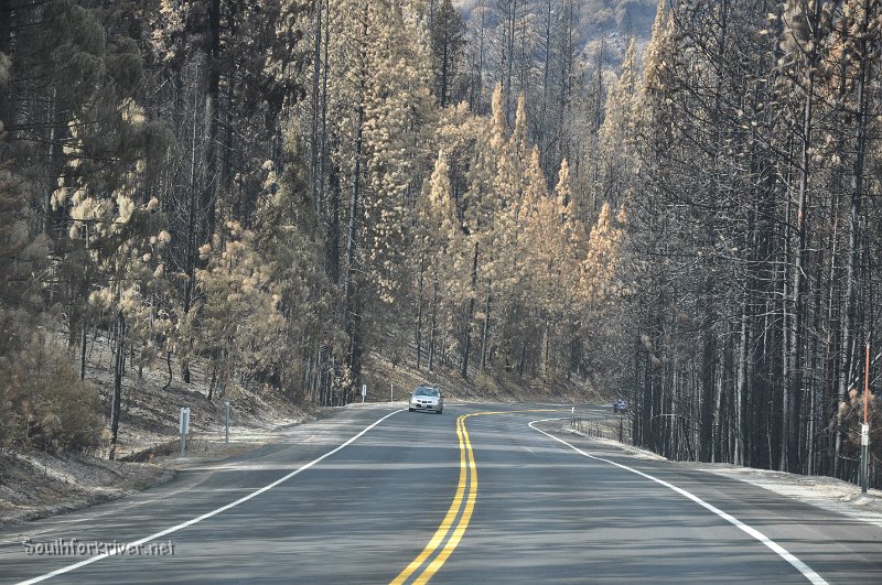 DSC_0385.JPG - Highway 120 near Southfork of Tuolumne River