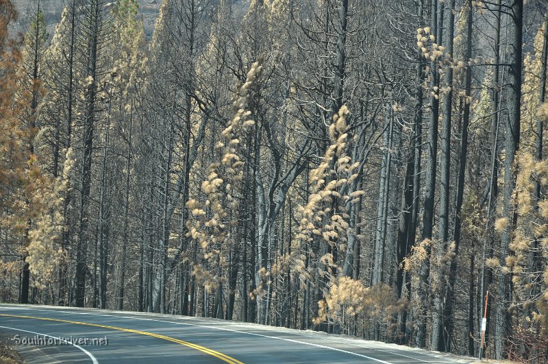 DSC_0393.JPG - Highway 120 near Southfork of Tuolumne River