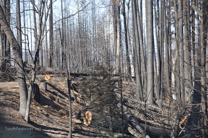 DSC_0595.JPG - Highway 120 down from Sawmill Mtn