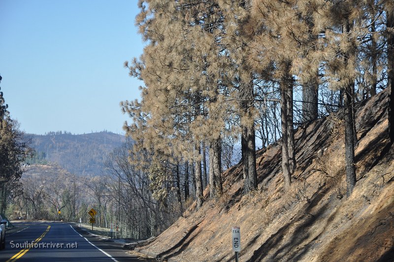 DSC_0597.JPG - Highway 120 down from Sawmill Mtn