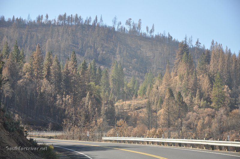 DSC_0615.JPG - Highway 120 near Rim of the World