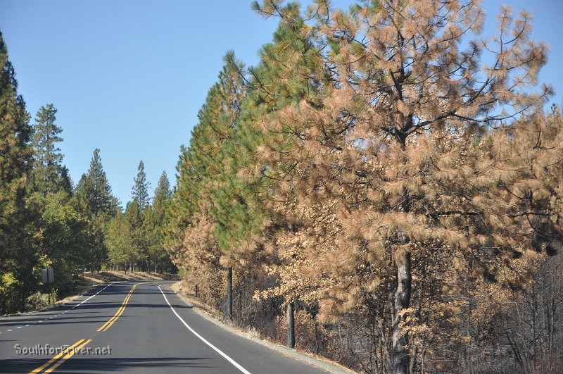 DSC_0667.JPG - Highway 120 west of Buck Meadows