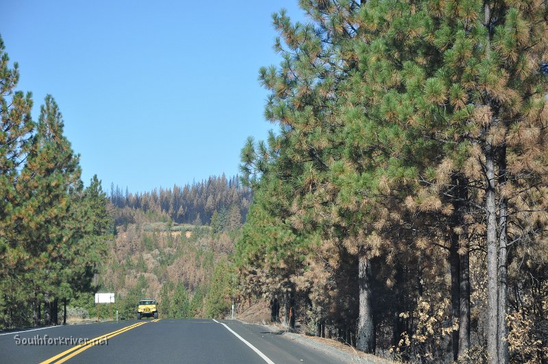 DSC_0670.JPG - Highway 120 west of Buck Meadows