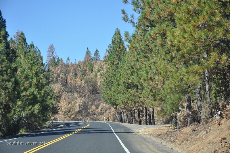 DSC_0675.JPG - Highway 120 west of Buck Meadows