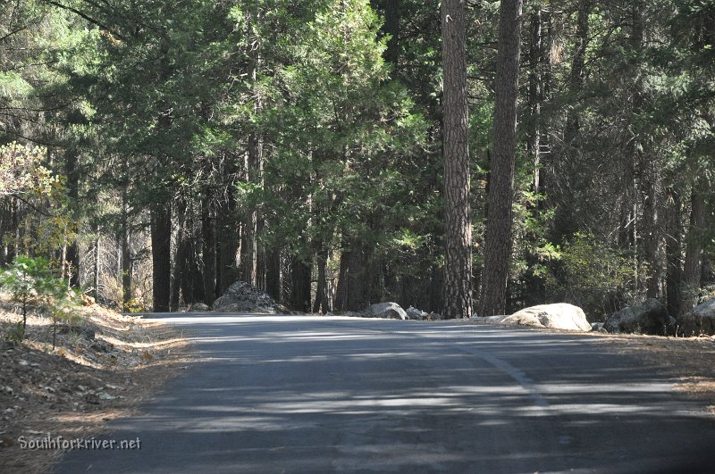 DSC_0721.JPG - Looking east towards grinding rocks on Hardin Flat Road