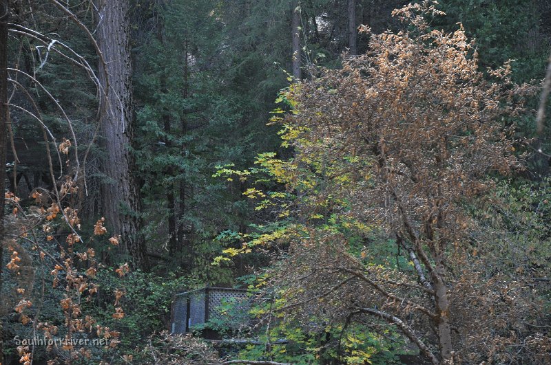 DSC_0755.JPG - Remaining tent cabin near end of camp towards Tee Pee Village - The Dogwoods will still bloom here!