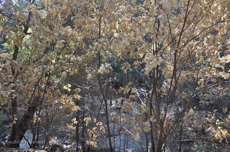 DSC_0759.JPG - Looking down on the camp fire circle