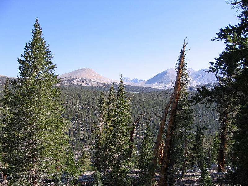 IMG_1587.JPG - View of the mountain ridge to the east near Wallace Creek