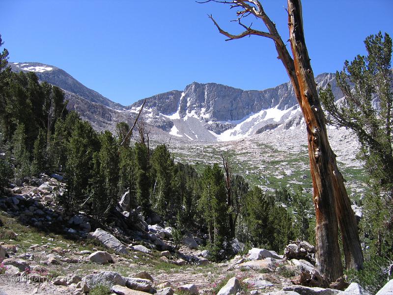 IMG_1703.JPG - Looking back up towards Mather Pass