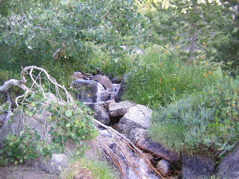 IMG_1723.JPG - Creek up canyon from Little Pete Meadow