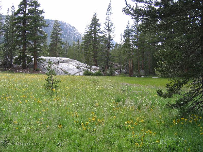 IMG_1758.JPG - Colby Meadow