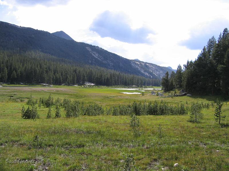 IMG_1759.JPG - McClure Meadow