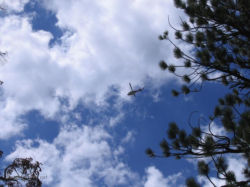 IMG_1781.JPG - SAR helicopter