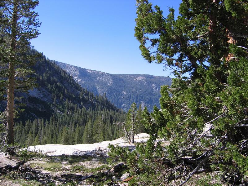 IMG_1821.JPG - Looking down Mono Creek canyon