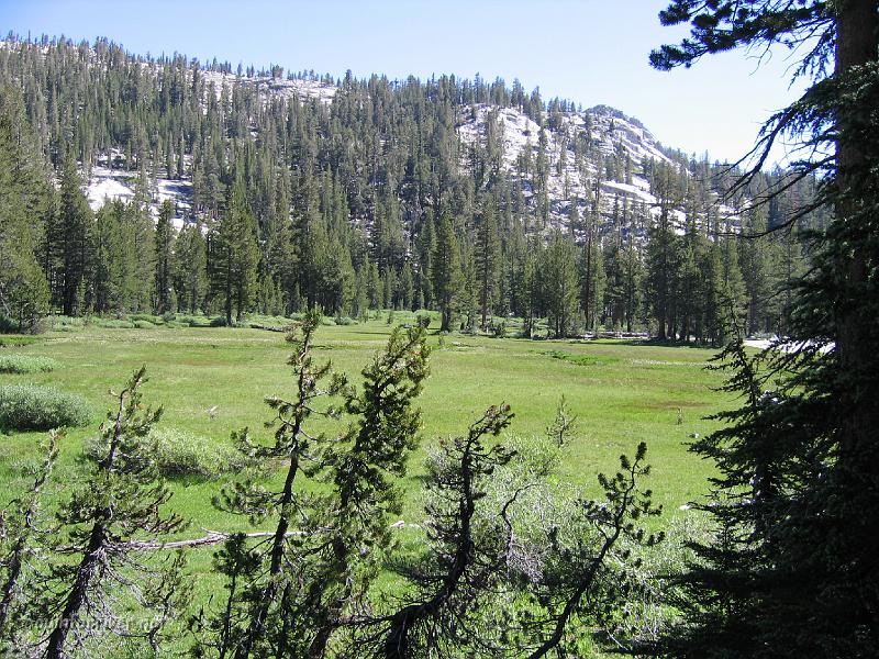 IMG_1826.JPG - Nice meadow before Silver Pass Lake