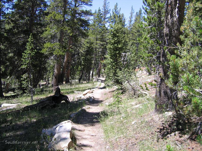 IMG_1871.JPG - The trail between Duck Creek and Deer Creek